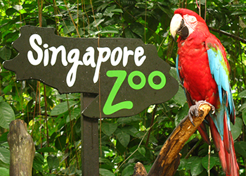 Singapore Zoo Living Classroom